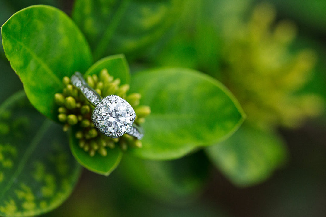 Knowing About Lab Grown Diamonds - BVW Jewelers - Fine Engagement Rings & Custom Designs