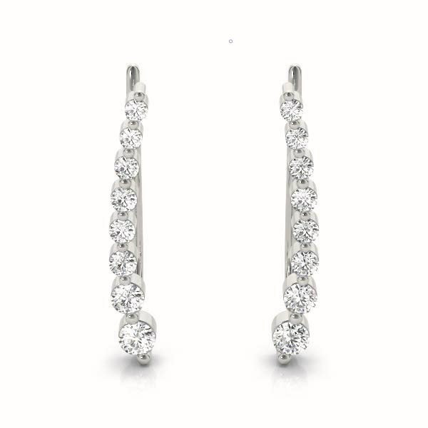 14K White Gold Diamond Fashion Earrings