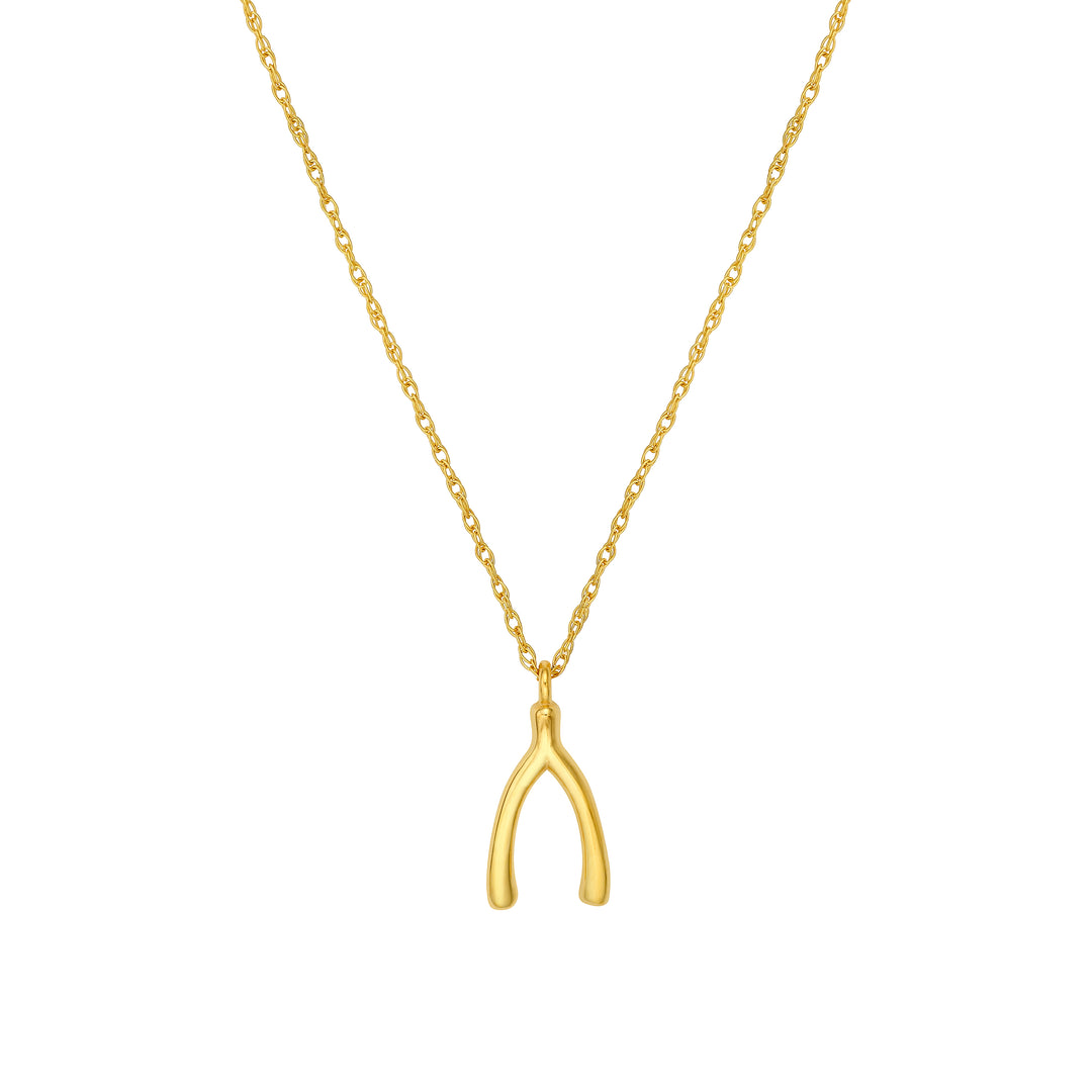 So You Wishbone Pendant Necklace